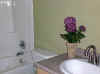 bathg.jpg (8963 bytes)